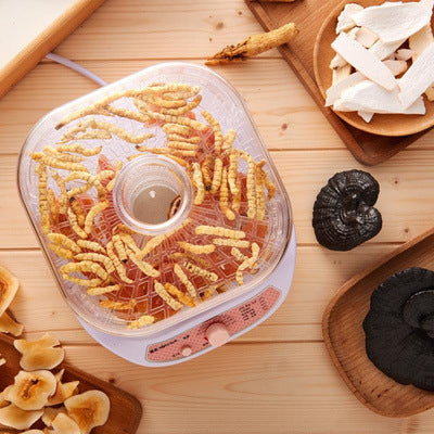 MINI Dried Fruit Vegetables Machine Household Dehydrated 5 Trays Snacks Air Dryer