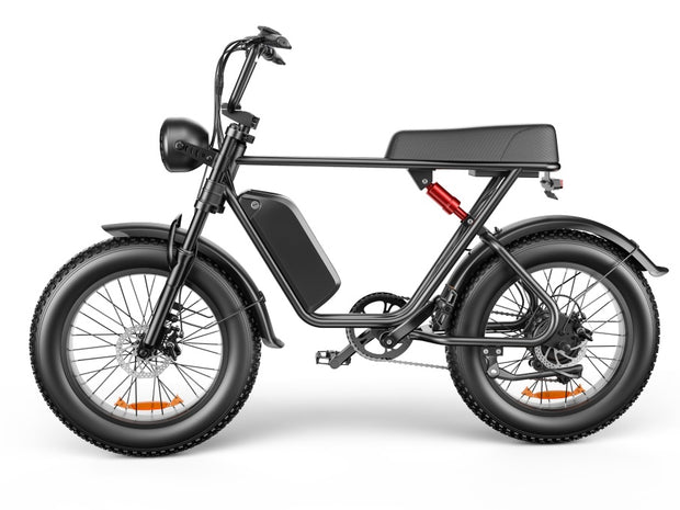 C91 - 20 Inch 20A Electric Bike ---- Purchase Style, Please Check The Details