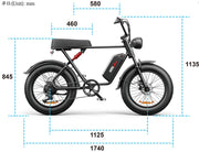 C91 - 20 Inch 20A Electric Bike ---- Purchase Style, Please Check The Details