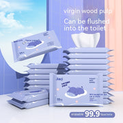 Jiayan Wet Toilet Paper Portable Toilet Sanitary Wipe Wipe Ass Wet