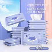 Jiayan Wet Toilet Paper Portable Toilet Sanitary Wipe Wipe Ass Wet