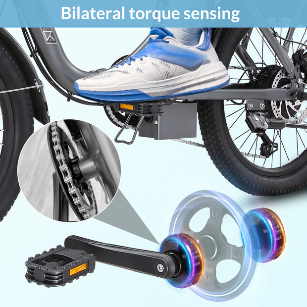 C20Ebike,250W Motor,36V18Ah Battery,20 Inches,Maximum Speed 25KM